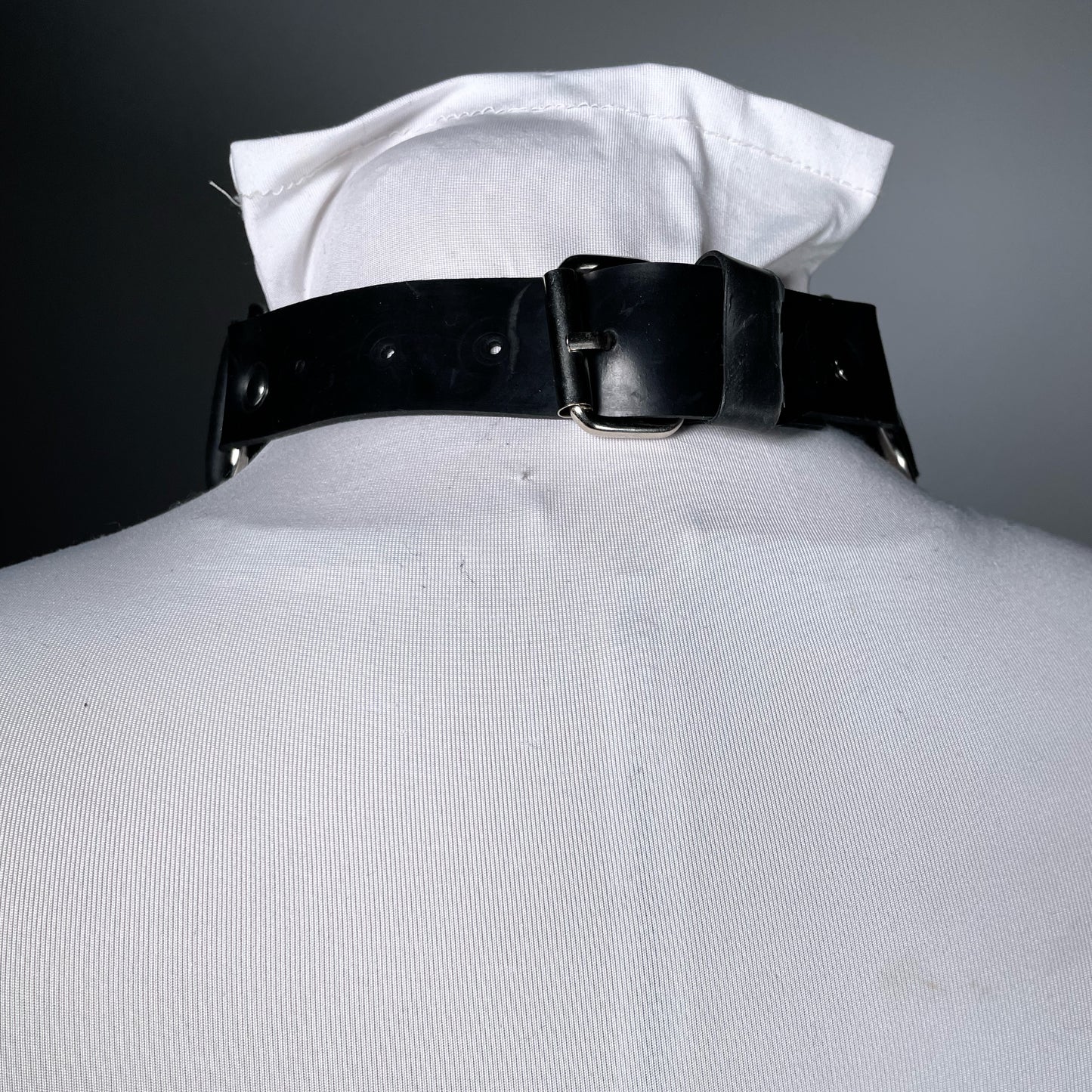 Dominion Day Rubber Collar